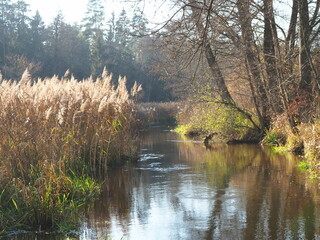 view of the river near Suprasl
