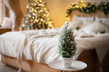 Mini Christmas tree in a pot on the background of a decorated Christmas bedroom in light colors.