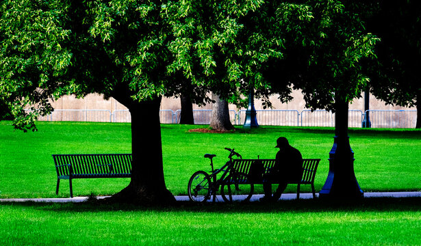 Man Sitting on Park Bench with Bike Silhouette Green Grass and Trees