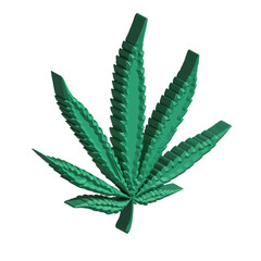 3D Realistic Marijuana seedlings have a drop of water. herb , Green leaf