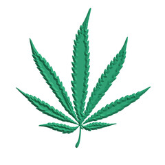 3D Realistic Marijuana seedlings have a drop of water. herb , Green leaf