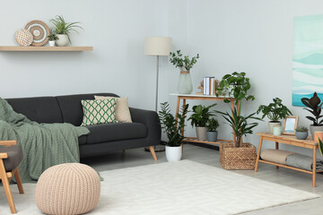 Beautiful living room interior with green houseplants and comfortable furniture