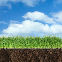 Soil with lush green grass and beautiful blue sky with clouds