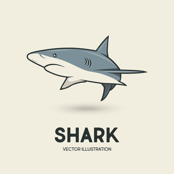 Vector Cartoon Shark Isolated. Hand Drawn Colored White Shark with Contour. Ocean Predator. Marine, Ocean, Sea Animals. Shark Character Design for Logo, Tatto, Print, Cards