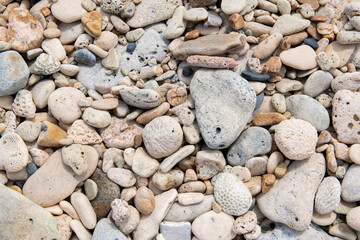 Coral Pebble Beach, Aruba
