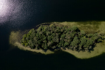Sunspot reflection in the water of green island top down aerial view in IJzeren Man lake full of trees with sand deposit sediment surrounding it seen just below the surface of the water