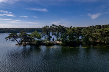 Fototapeta na wymiar Silhouetted pine trees on the shore of IJzeren Man lake peninsula at bright summer afternoon against a clear sky with sand visible under water. Aerial of Dutch landscape.