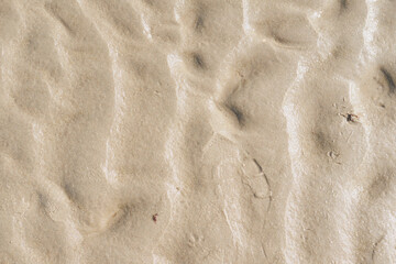 Closeup of textured brown surface with copyspace. Details and patterns of sand or ground with copyspace. Zoom in on shapes in the sand, texture and rough surface level flooring, abstract background