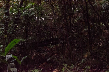 Wooden bridge, surrounded by trees. Way of St. James, in Águas de São Pedro. Tourist point of Estancia de Águas de São Pedro.