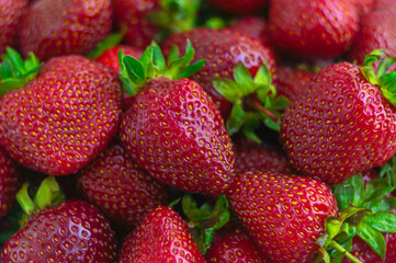 Red juicy strawberries close up