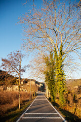 road in rural landscape