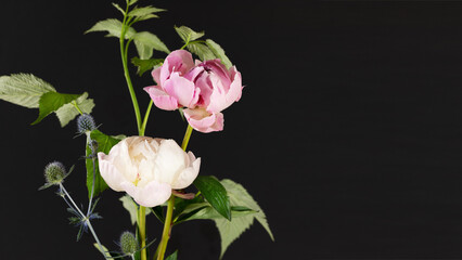 Obraz premium Floral composition with beautiful peonies and garden flowers on a dark background with copy space. Template for design of wedding invitations, holiday greetings, business card, decoration packaging
