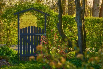 Crédence de cuisine en verre imprimé Herbe Small wooden gate in the countryside. Lush green garden upon entrance to private home in the woodlands. Sanctuary or safe haven in remote area in nature. Frontyard with trees, plants and green grass