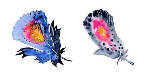 Fototapete Schmetterlinge Federelementsatz. Handgezeichnete Aquarellillustration.