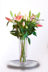Bouquet of pink flowers in a vase isolated on white studio background. Beautiful lily buds with...