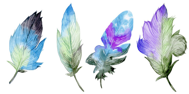 Feather element set. Hand drawn watercolor illustration. © FireFLYart