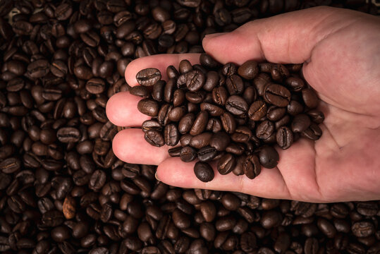 Close up images, Hand of people and roasted coffee beans, Before being ground into a coffee drink for people like, with coffee beans background.