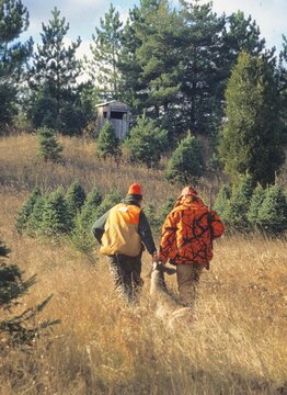 A pair of hunters dragging a buck