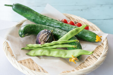 収穫した夏野菜