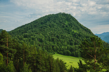 Landscape of mountains in summer