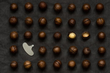Macadamia nuts on a dark fabric background. Pattern of nuts and shell opening tool, top view.