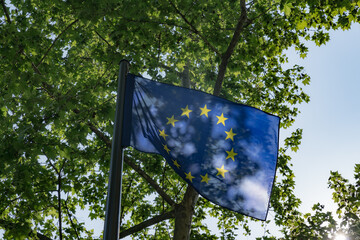 Flag of the European Union between trees