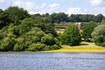 View of Bewl Water reservoir on a summer afternoon, Kent, South of England