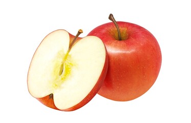 りんご リンゴ イラスト リアル セット