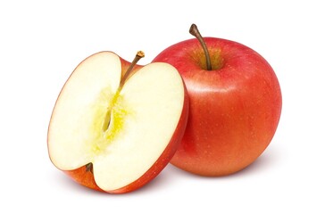 りんご リンゴ イラスト リアル セット