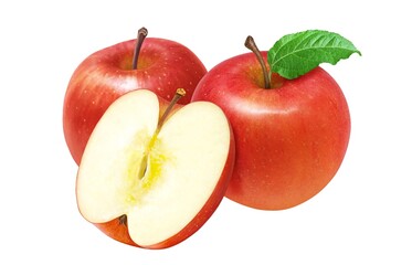 りんご リンゴ イラスト リアル セット