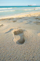 Copy space landscape and seascape of footprints in the sand on a tropical beach in summer. Closeup of a footstep on the beach shore on holiday. One footmark imprinted on the seashore on vacation