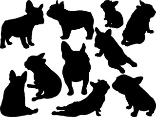Hand drawn illustrations of French Bulldog shadow on white background. Design for Pattern. Texture for Fabric, Wrapping, Wallpaper, Print, Textile, Advertising and etc.