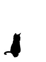 Hand drawn illustrations portrait of cat shadow isolated on white background.