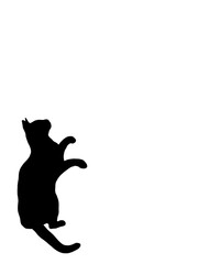 black cat silhouette. Hand drawn illustrations of cat shadow isolated on white background.