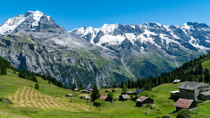 Fototapeta na wymiar amazing mountains view from Allmendhubel, Mürren in Switzerland with colorful flowers in the front