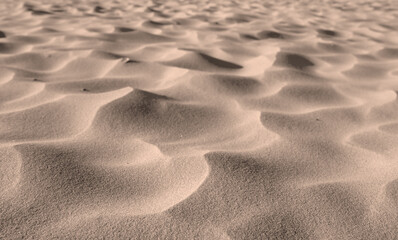 Grains of desert sand from dunes on windy beach in nature with copyspace. Closeup of scenic...