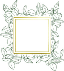 botanical minimalism line art leaves vector frame