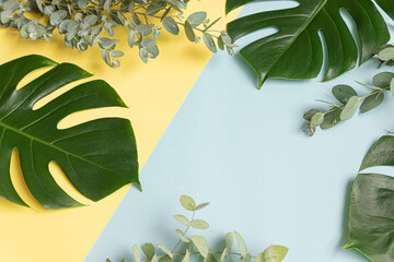 Fototapeta na wymiar Top view tropical leaves on vibrant background. Summer flat lay composition.