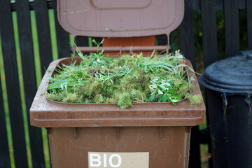 Biodegradable waste container in front of the house in the countryside