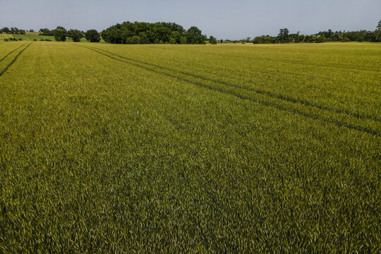 Aerial view of a field in countryside, Saint-Amans-Soult, France.