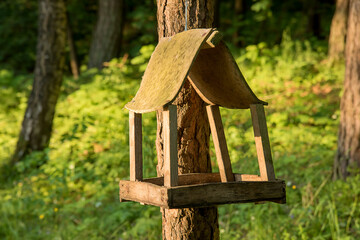 bird feeder made with his own hands hangs in the forest on a tree in the rays of the setting sun