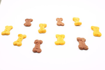 Snack, or cookies or prize to give the dog, to reward good behavior Dog bone 