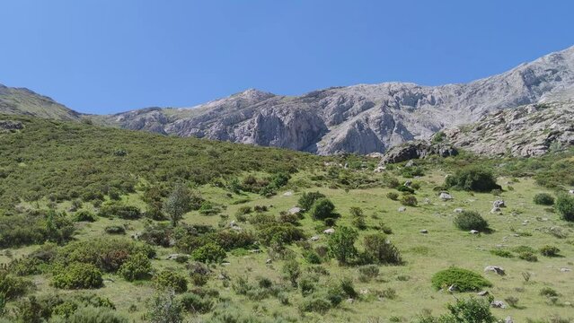 Vertiente 이미지 찾아보기 198 스톡 사진, 벡터 및 비디오 Adobe Stock