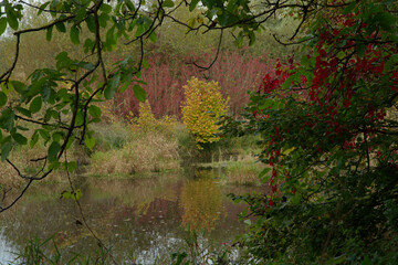 Ub étang en automne à D'Huison-Longueville