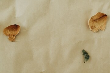 Background decorated with dried yellow rose petal and leaf on brown craft paper.