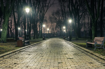The alley of a night autumn park in a light fog. Footpath in a f