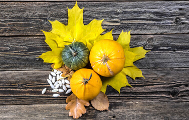 Pumpkins on a maple leaf