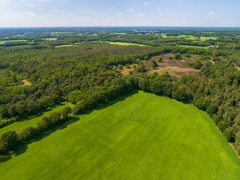 Aerial view of nature reserve Vasser Heide with forest and heather field, Haarle, Twente, Overijssel, Netherlands.