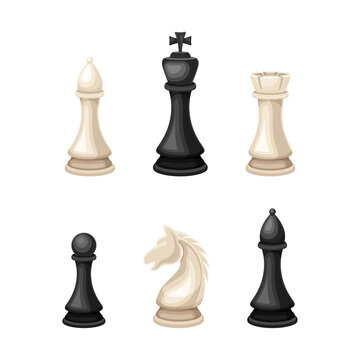 Collection of chess black and white pieces vector illustration