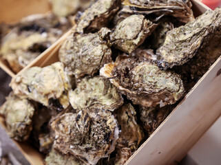 Ein Korb voll mit Austen die für ein Abendessen voerbereitet werden.